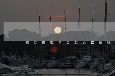 临江市知名欠款诉讼律师
