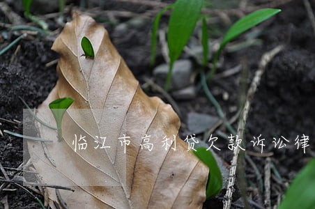 临江市高利贷欠款诉讼律师 临江市高利贷欠款诉讼律师
