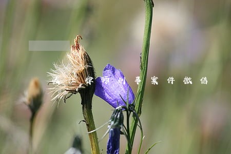 临江律师刑事案件微信
