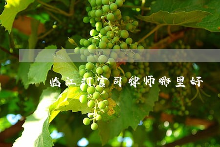 临江打官司律师哪里好 临江打官司律师哪里好