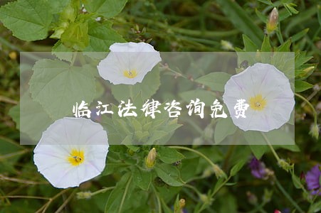 临江法律咨询免费 临江法律咨询免费