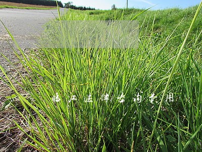 临江法律咨询费用 临江法律咨询费用