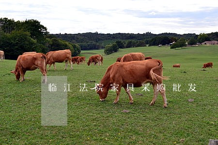 临江法院家具采购批发 临江法院家具采购批发