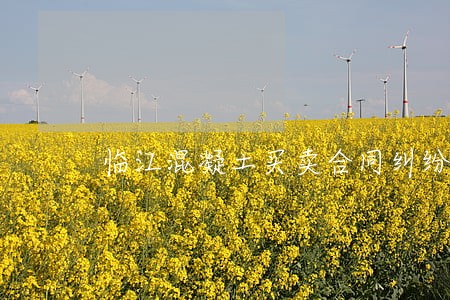 临江混凝土买卖合同纠纷律师 临江混凝土买卖合同纠纷律师