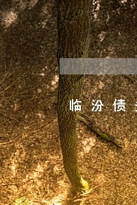 临汾债务律师特点 临汾债务律师特点