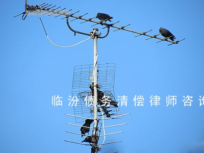 临汾债务清偿律师咨询 临汾债务清偿律师咨询
