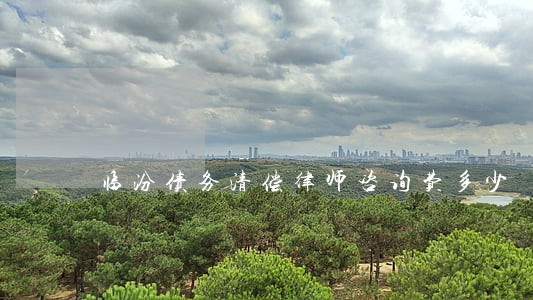 临汾债务清偿律师咨询费多少 临汾债务清偿律师咨询费多少