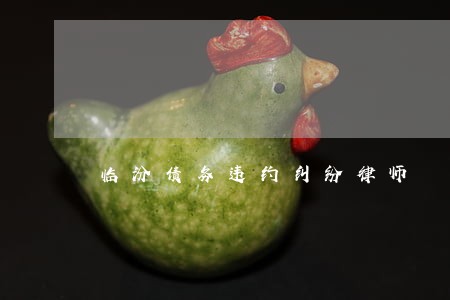临汾债务违约纠纷律师 临汾债务违约纠纷律师