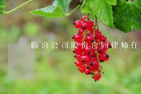 临汾公司股份合同律师在线咨询 临汾公司股份合同律师在线咨询