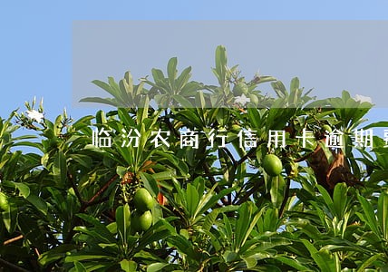 临汾农商行信用卡逾期费用 临汾农商行信用卡逾期费用
