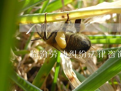 临汾劳动纠纷法律咨询热线 临汾劳动纠纷法律咨询热线