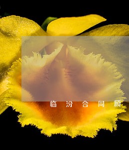 临汾合同顾问律师 临汾合同顾问律师