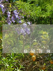 临汾咨询债务债权律师 临汾咨询债务债权律师