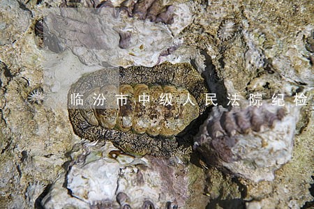 临汾市中级人民法院纪检督查 临汾市中级人民法院纪检督查