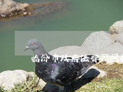 临汾市政府法律顾问招标公告 临汾市政府法律顾问招标公告