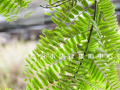 临汾市法律援助中心在哪里 临汾市法律援助中心在哪里
