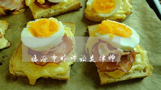临汾市非诉讼类律师 临汾市非诉讼类律师