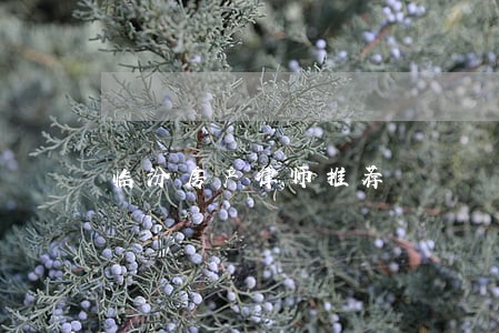 临汾房产律师推荐 临汾房产律师推荐