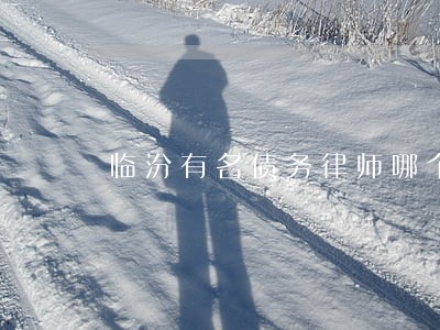 临汾有名债务律师哪个好 临汾有名债务律师哪个好