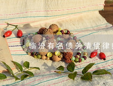 临汾有名债务清偿律师咨询费多少 临汾有名债务清偿律师咨询费多少