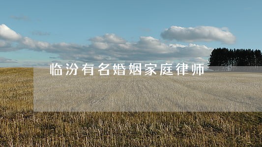 临汾有名婚姻家庭律师 临汾有名婚姻家庭律师