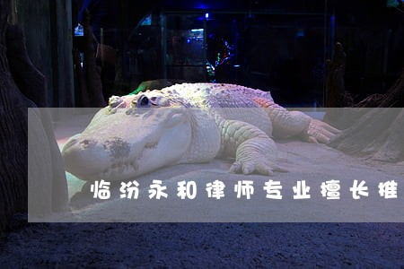 临汾永和律师专业擅长推荐 临汾永和律师专业擅长推荐