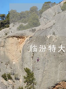 临汾特大交通事故应该如何诉讼 临汾特大交通事故应该如何诉讼