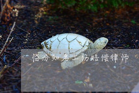 临汾知名工伤赔偿律师 临汾知名工伤赔偿律师