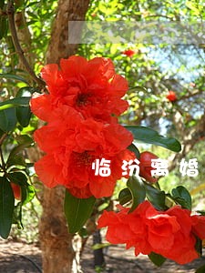 临汾离婚律师咨询免费 临汾离婚律师咨询免费