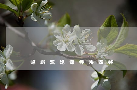 临汾离婚律师哪家好 临汾离婚律师哪家好