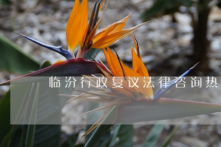 临汾行政复议法律咨询热线 临汾行政复议法律咨询热线