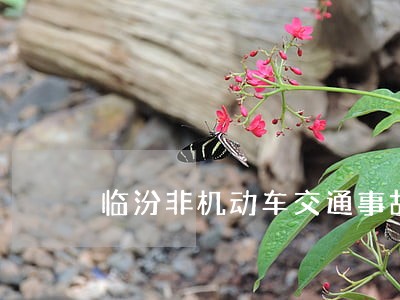 临汾非机动车交通事故诉讼时间 临汾非机动车交通事故诉讼时间