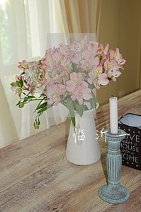 临沂一中涉外法律服务 临沂一中涉外法律服务