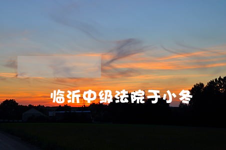 临沂中级法院于小冬