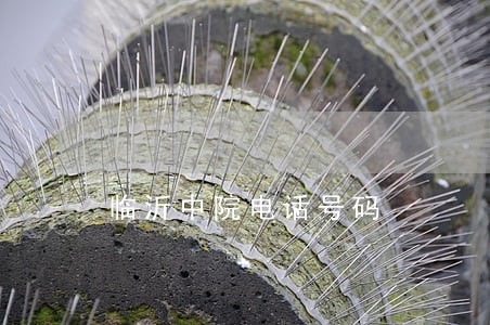 临沂中院电话号码 临沂中院电话号码