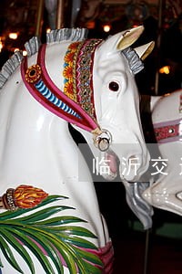 临沂交通事故诉讼律师