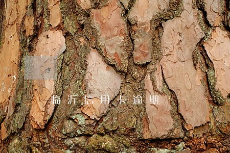 临沂信用卡逾期