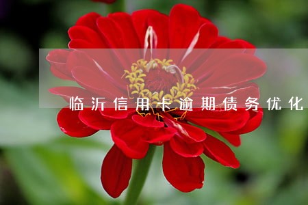 临沂信用卡逾期债务优化怎么收费 临沂信用卡逾期债务优化怎么收费