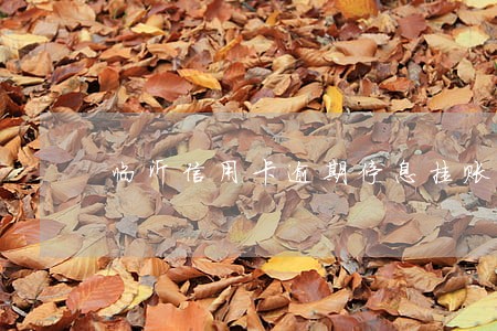 临沂信用卡逾期停息挂账律师 临沂信用卡逾期停息挂账律师