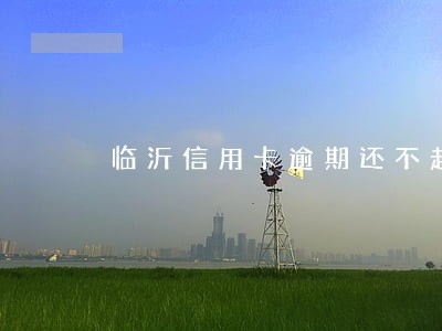 临沂信用卡逾期还不起怎么办