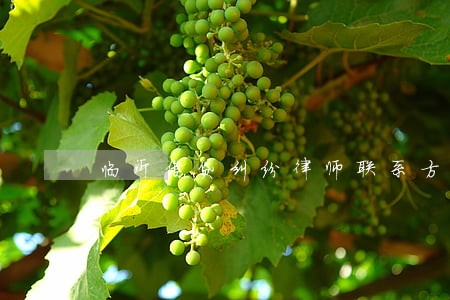 临沂借贷纠纷律师联系方式 临沂借贷纠纷律师联系方式