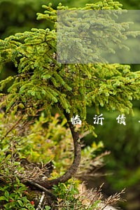 临沂债务律师电话咨询 临沂债务律师电话咨询
