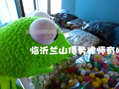 临沂兰山债务律师有哪些 临沂兰山债务律师有哪些