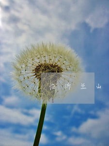 临沂兰山债务律师费用 临沂兰山债务律师费用