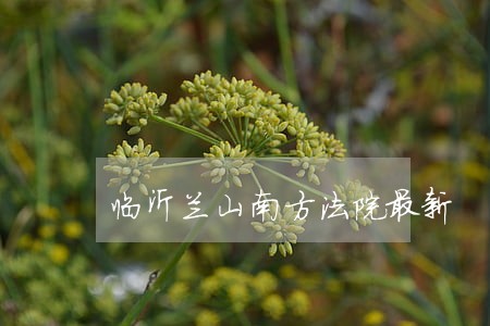 临沂兰山南方法院最新