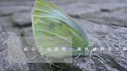 临沂兰山法院一体化破解送达难 临沂兰山法院一体化破解送达难