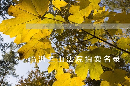 临沂兰山法院拍卖名录 临沂兰山法院拍卖名录