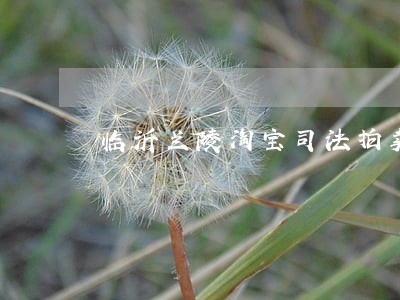 临沂兰陵淘宝司法拍卖