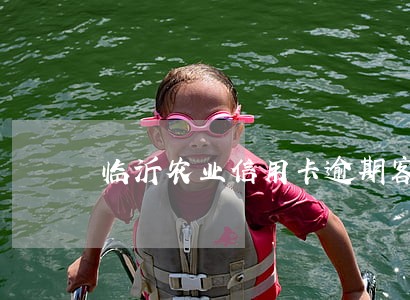 临沂农业信用卡逾期客服电话 临沂农业信用卡逾期客服电话