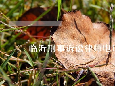 临沂刑事诉讼律师电话咨询 临沂刑事诉讼律师电话咨询
